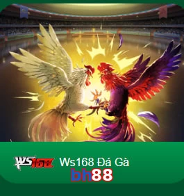 bh88